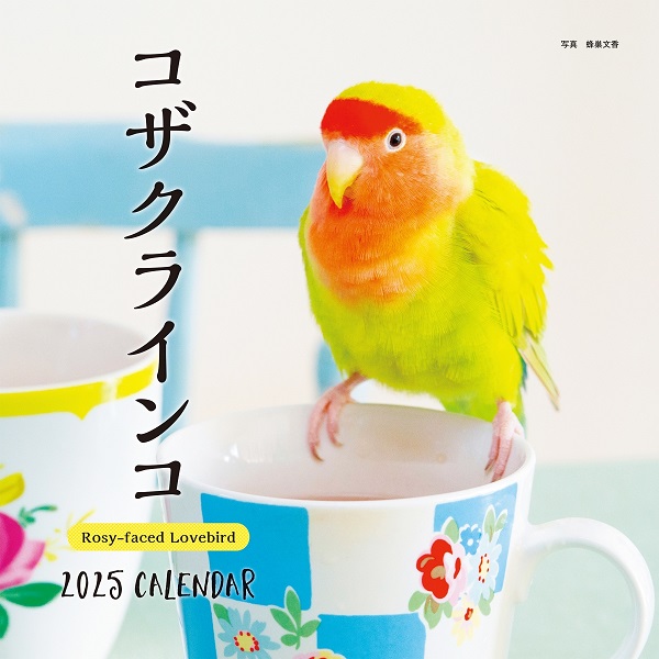 momorin様専用水彩画 冬のコザクラインコさん 値段は※900円です 親もの】